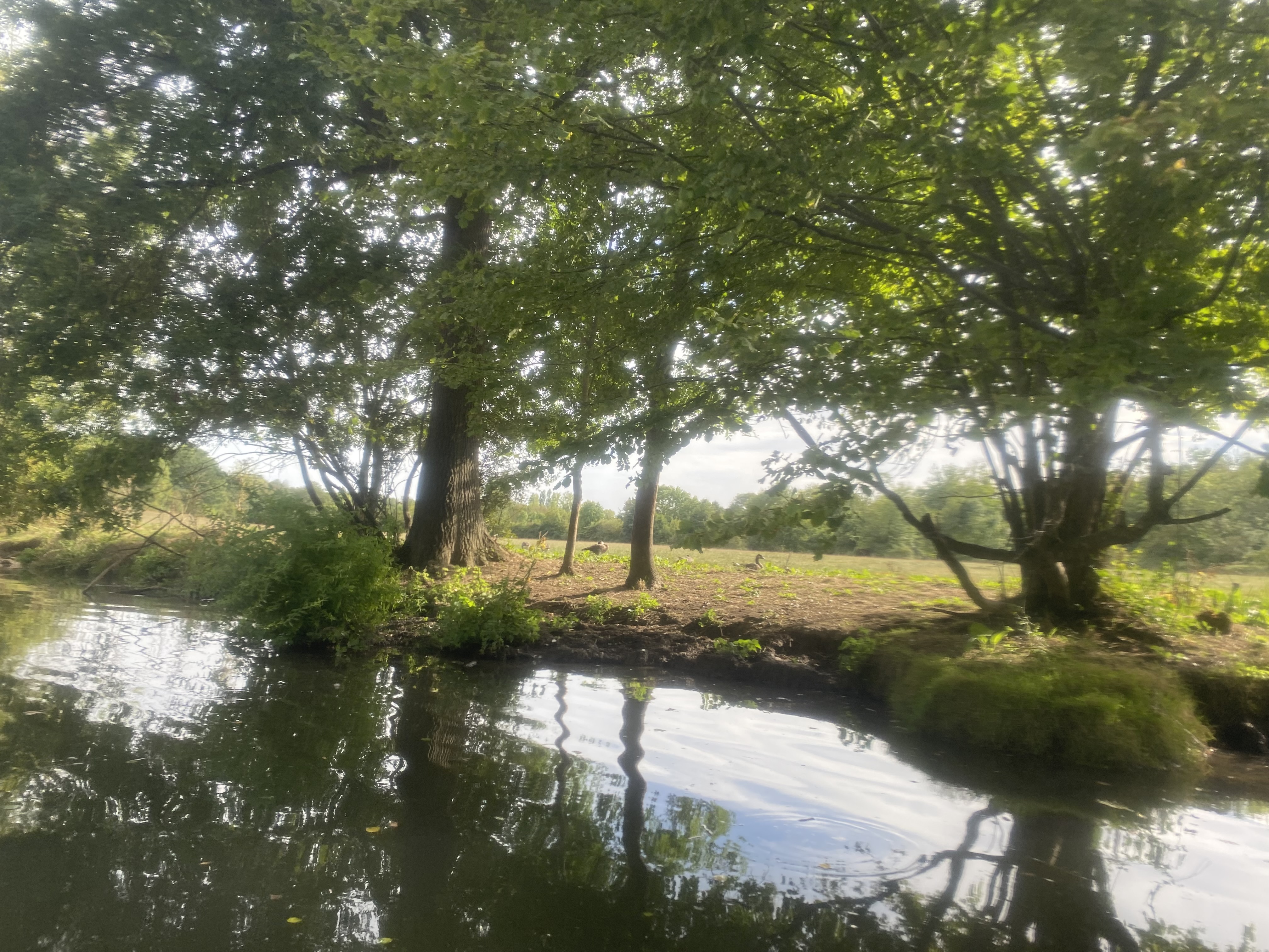 Image slide 17