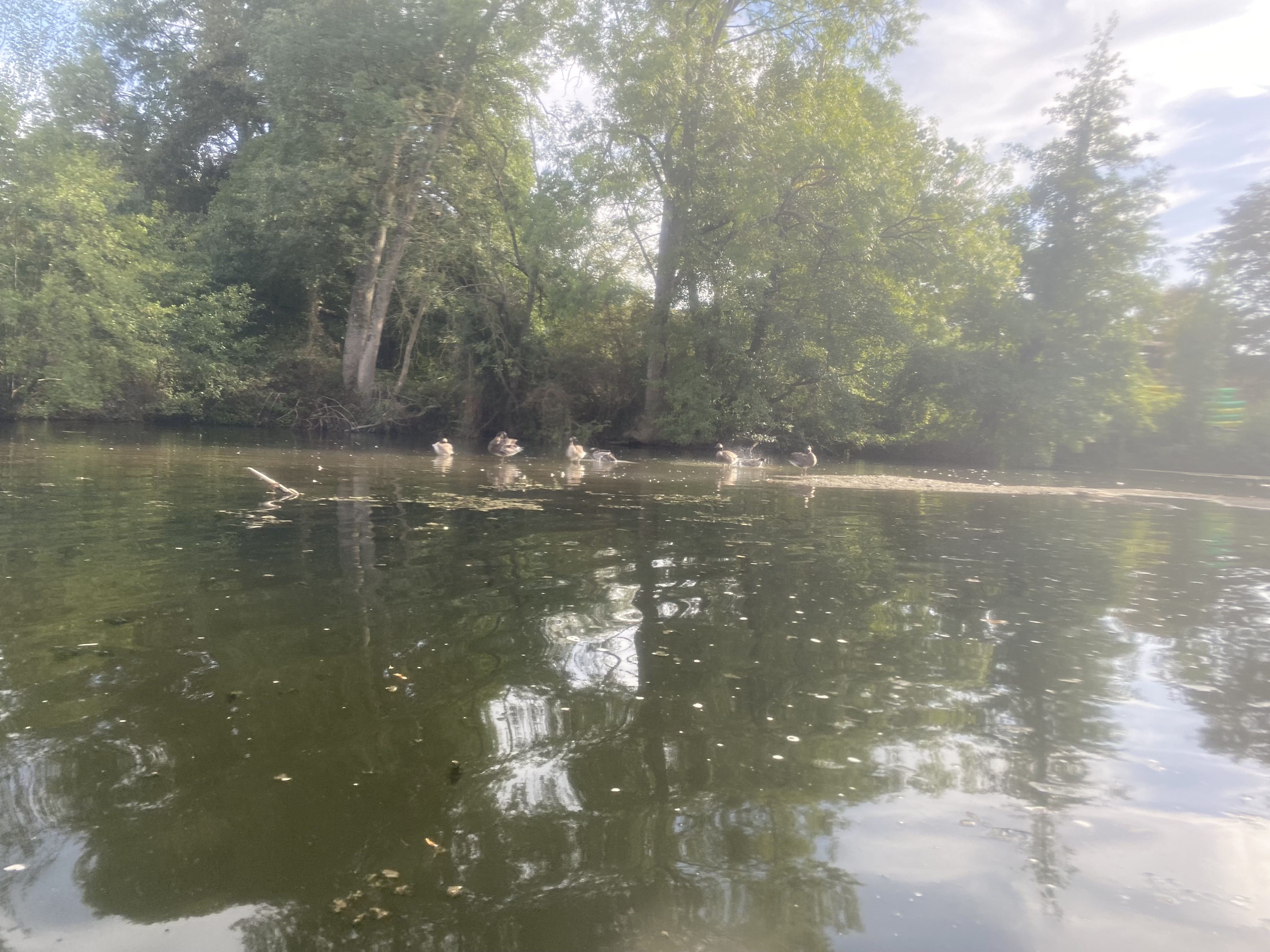 Image slide 18