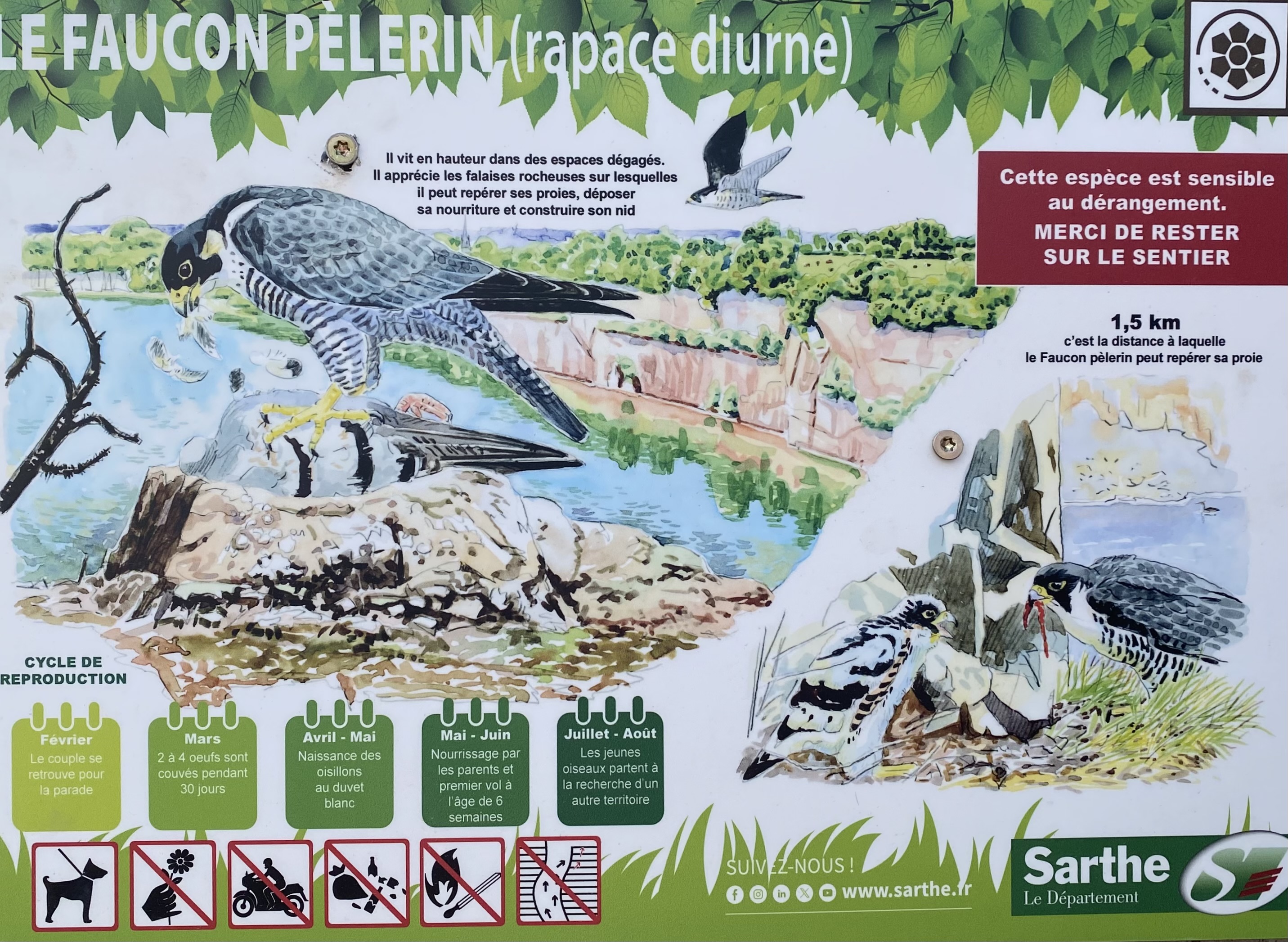 Image slide 3