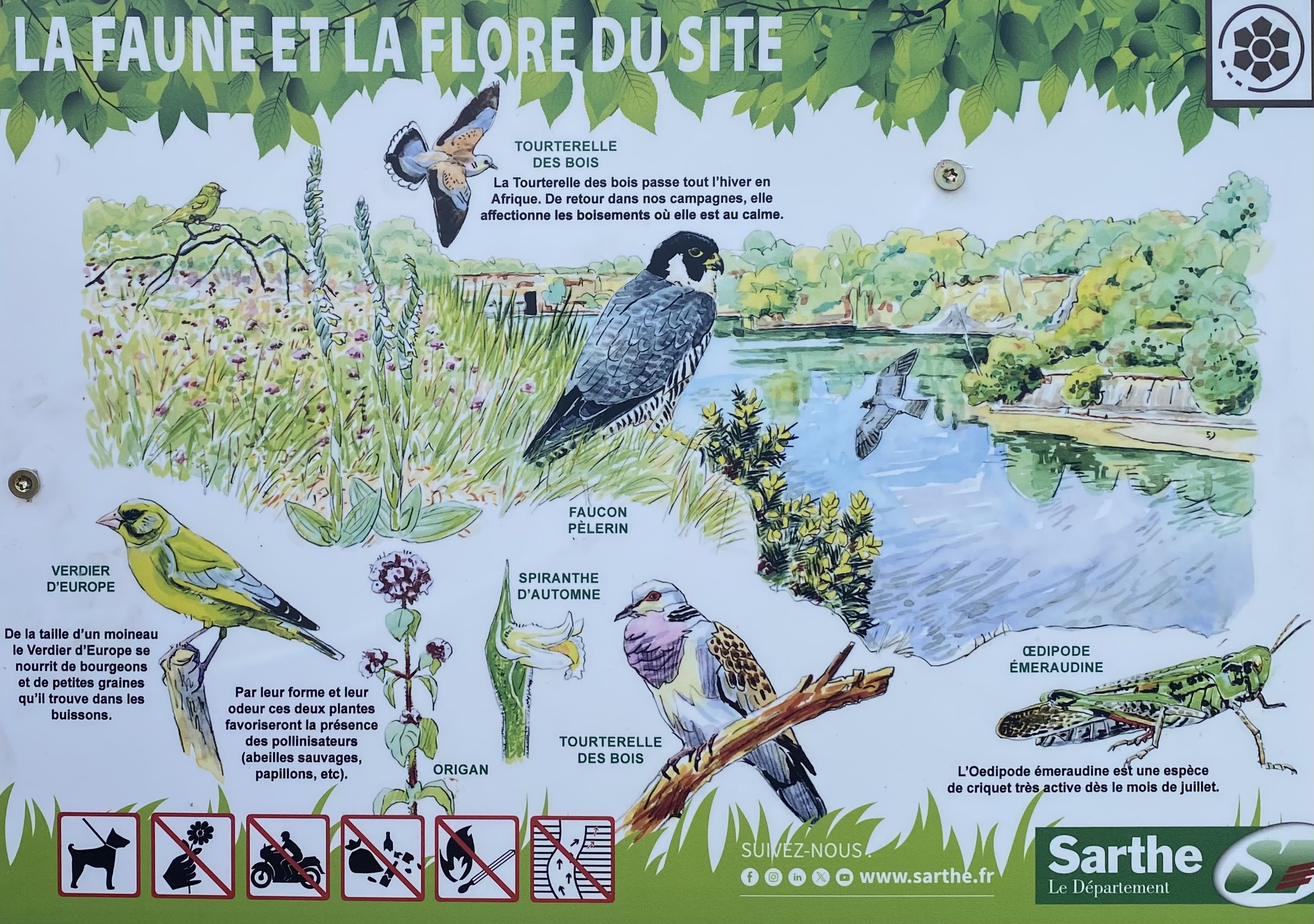 Image slide 2