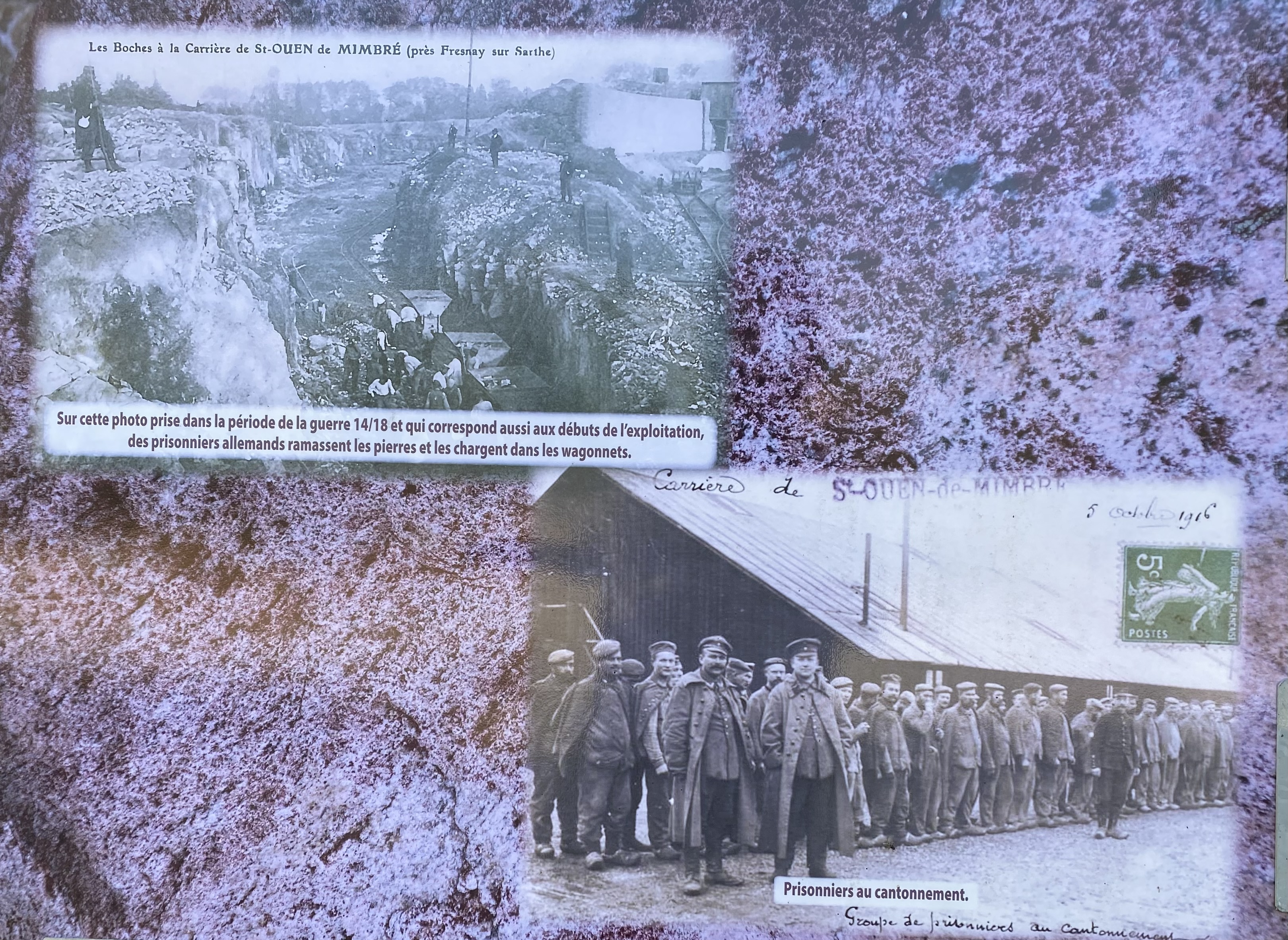 Image slide 7
